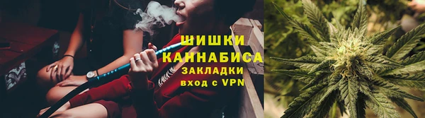 шишки Балахна